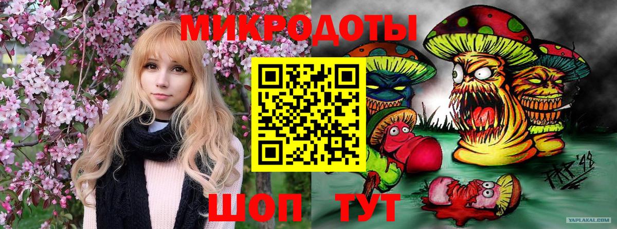 Псилоцибиновые грибы Magic Shrooms  Вход с VPN  Нефтекумск 